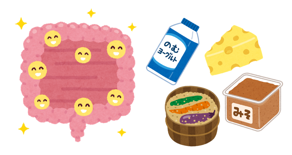腸内環境に必要なこと 介護食とカラダのコラム レシピ 食事の相談窓口サイト ごはんde笑顔そして健康